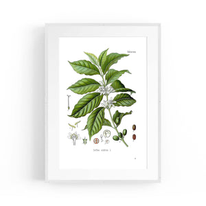 Coffee Branch Botanical Kitchen Cafe Wall Art #1 - The Affordable Art Company