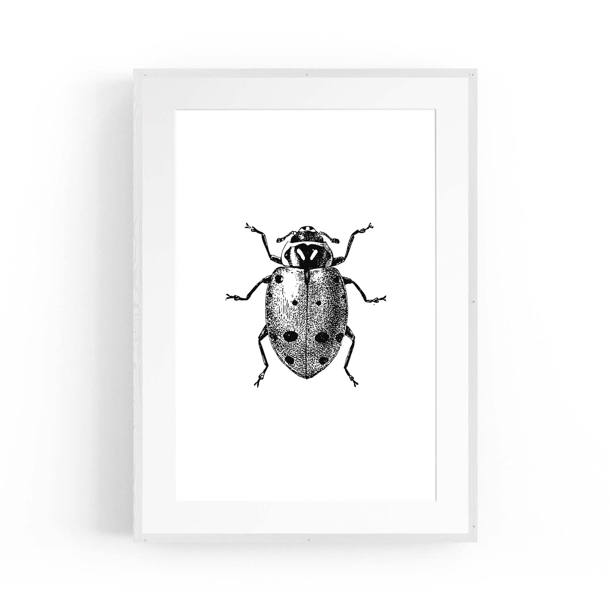 Ladybird Detailed Drawing Insect Office Wall Art - The Affordable Art Company
