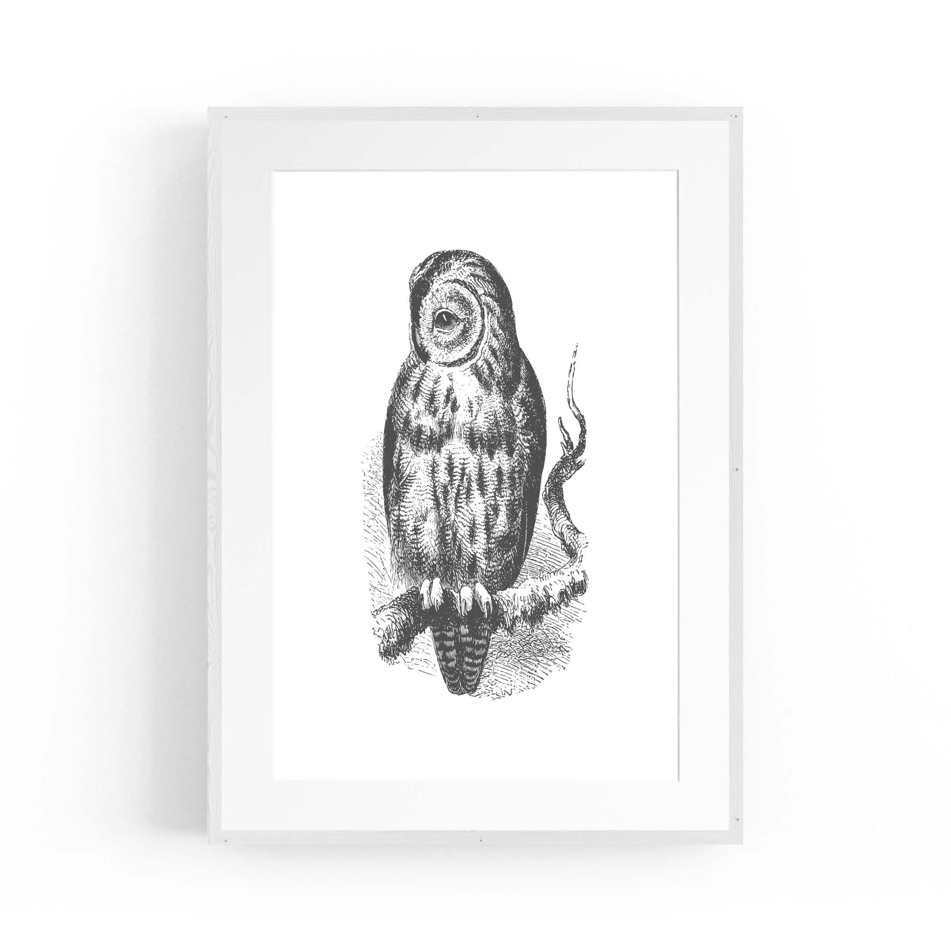 Owl Drawing Portrait Minimal Black Wall Art #3 - The Affordable Art Company