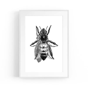 Worker Bee Drawing Insect Honey Wall Art - The Affordable Art Company