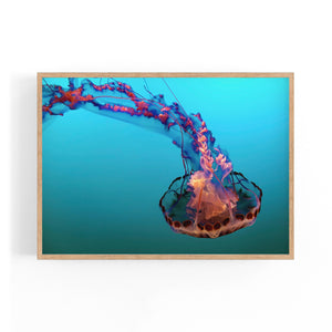 Electric Jellyfish Blue Photograph Neon Wall Art - The Affordable Art Company