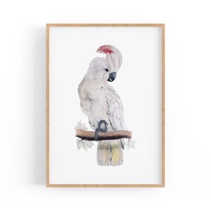 Salmon Crested Cockatoo Exotic Bird Wall Art - The Affordable Art Company