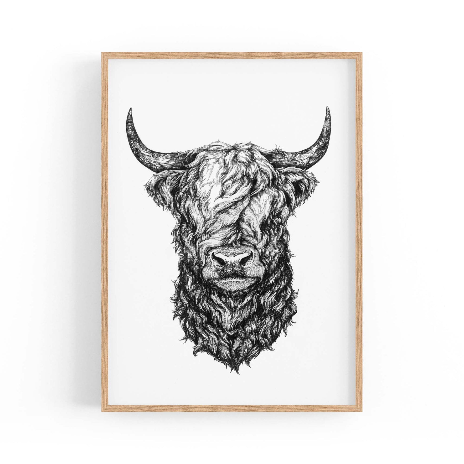 Highland Cow Detailed Head Drawing Wall Art - The Affordable Art Company