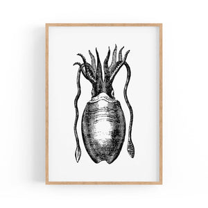 Squid Drawing Black and White Sealife Wall Art - The Affordable Art Company