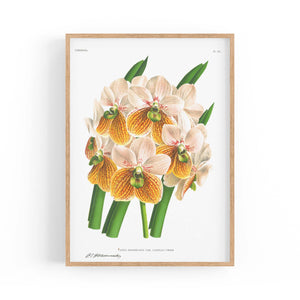 Yellow Flower Vintage Botanical Kitchen Wall Art #2 - The Affordable Art Company