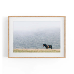 Lone Horse Landscape Photograph Nature Wall Art - The Affordable Art Company