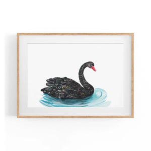 Black Swan Australian Animal Nursery Wall Art - The Affordable Art Company