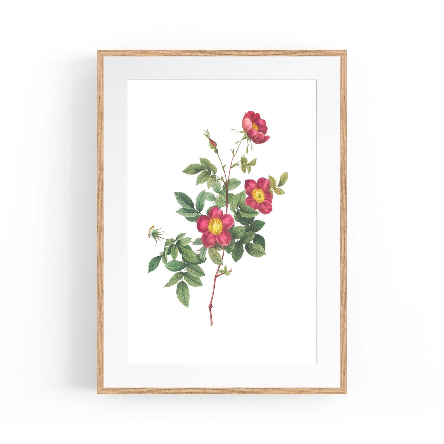 Flower Botanical Painting Kitchen Hallway Wall Art #7 - The Affordable Art Company