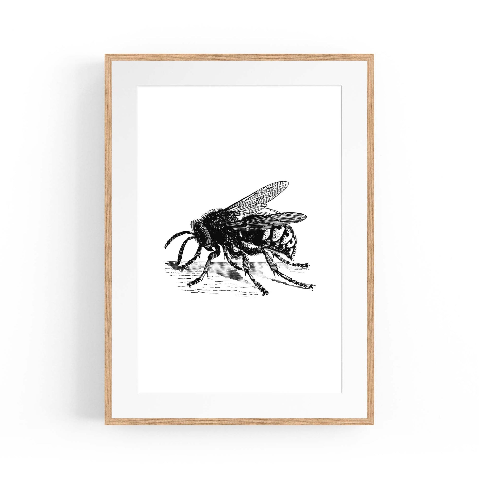 Hornet Drawing Insect Wall Art - The Affordable Art Company