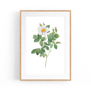 Flower Botanical Painting Kitchen Hallway Wall Art #4 - The Affordable Art Company