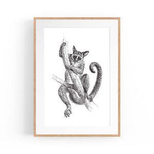 Lemur Detailed Drawing Animal Wall Art - The Affordable Art Company