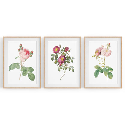 Set of Pink & White Flower Botanical Wall Art - The Affordable Art Company
