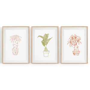 Set of Abstract Plants Kitchen Hallway Wall Art - The Affordable Art Company