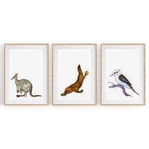 Set of Australian Animals Nursery Cute Wall Art #2 - The Affordable Art Company