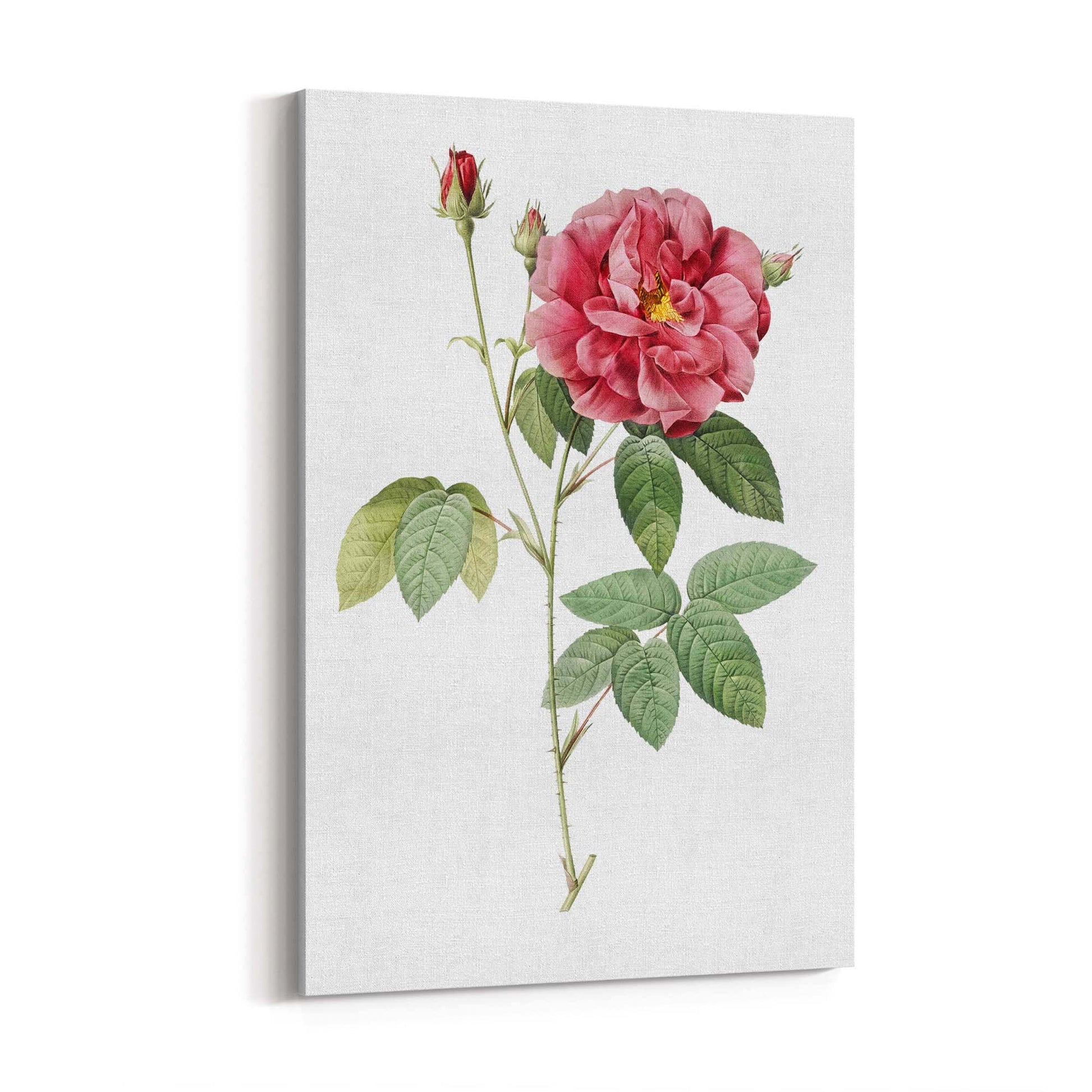 Flower Botanical Painting Kitchen Hallway Wall Art #17 - The Affordable Art Company