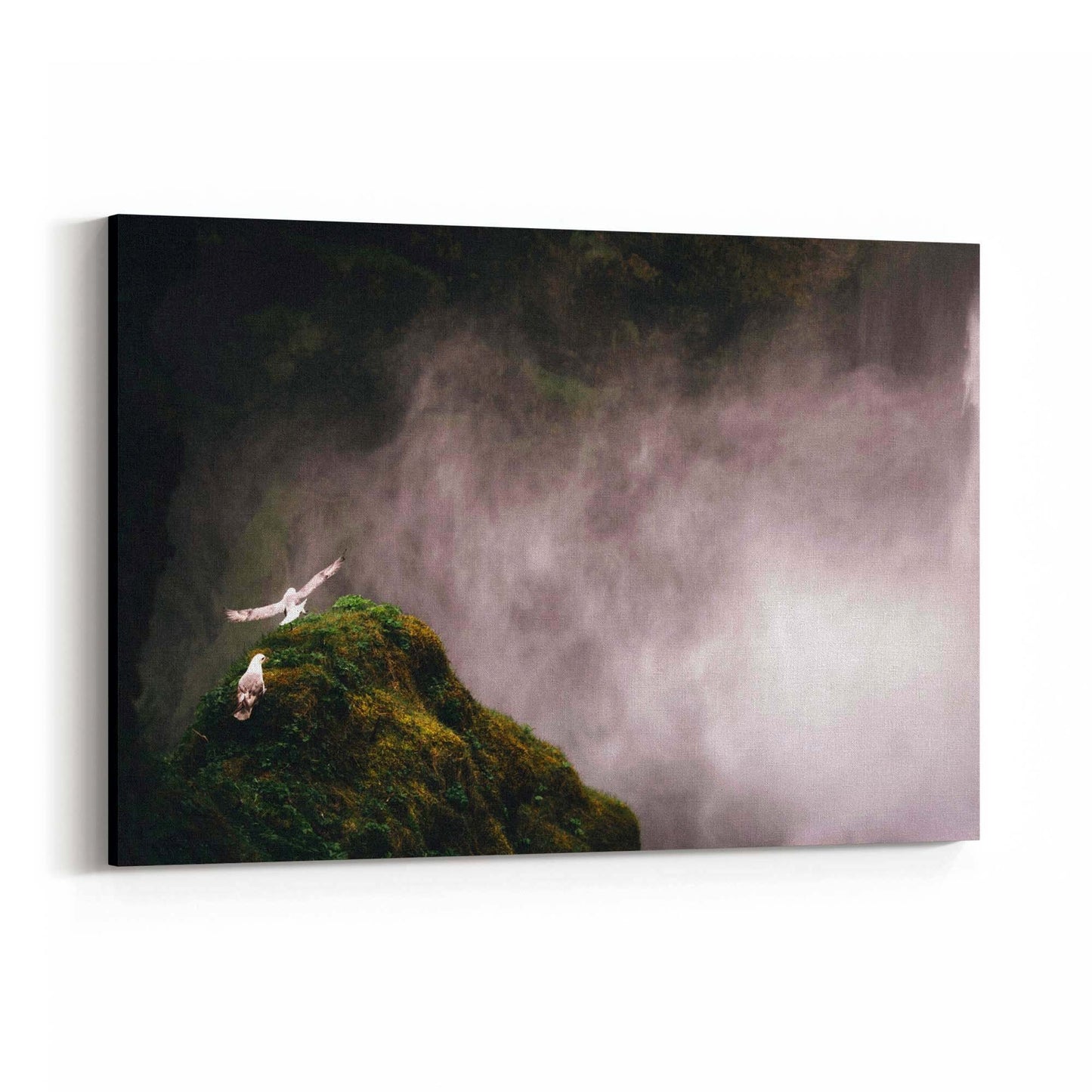 Wild Birds and Waterfall Photograph Wall Art - The Affordable Art Company