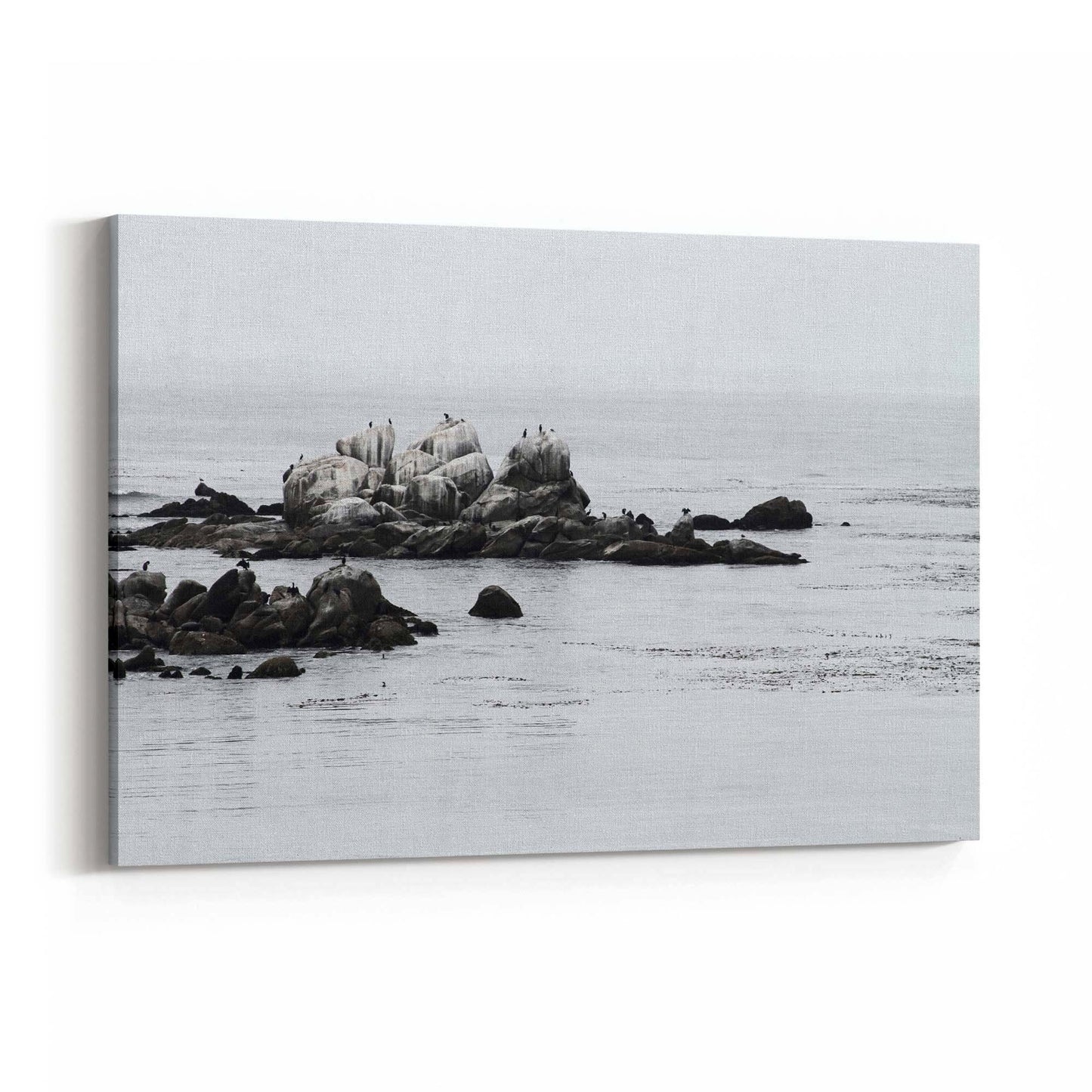 Wild Rocks Coastal Photograph Wall Art - The Affordable Art Company