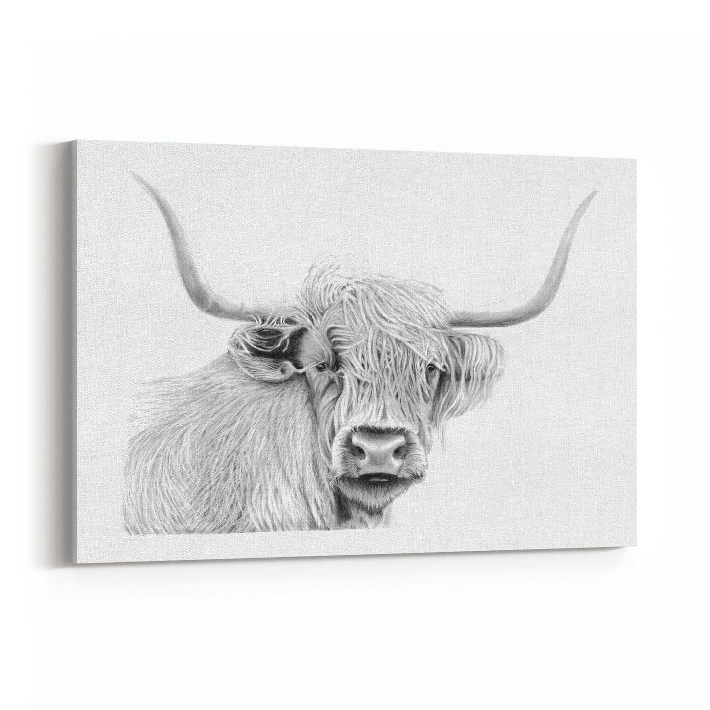 Highland Cow Detailed Drawing Minimal Wall Art - The Affordable Art Company