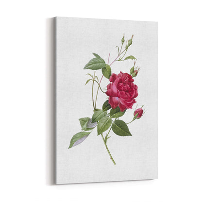 Flower Botanical Painting Kitchen Hallway Wall Art #31 - The Affordable Art Company