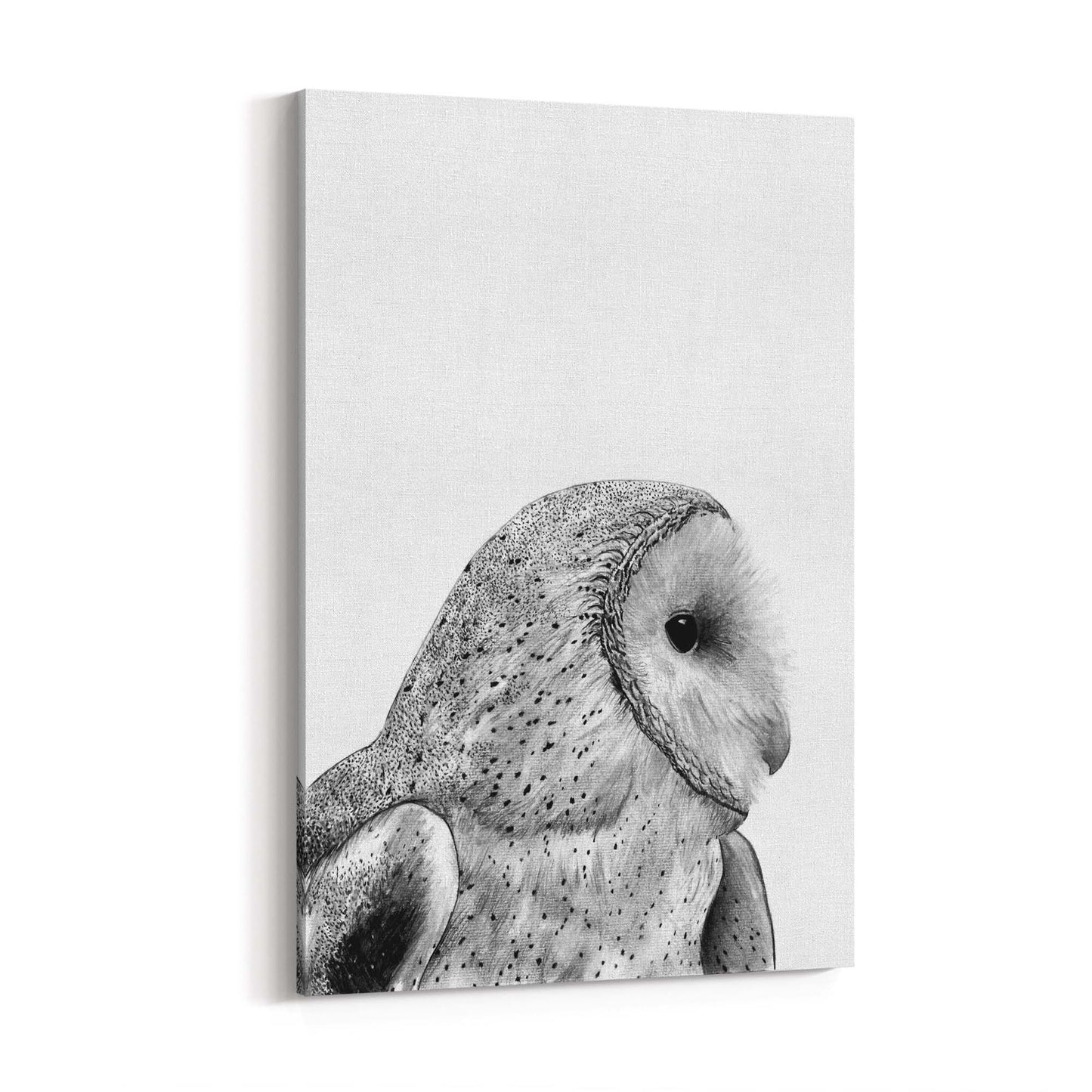 Owl Drawing Portrait Minimal Black Wall Art #1 - The Affordable Art Company
