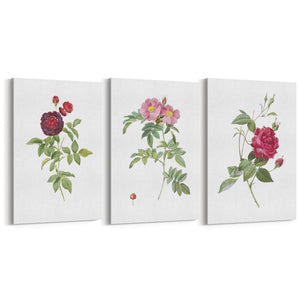 Set of Red & White Flower Botanical Wall Art - The Affordable Art Company