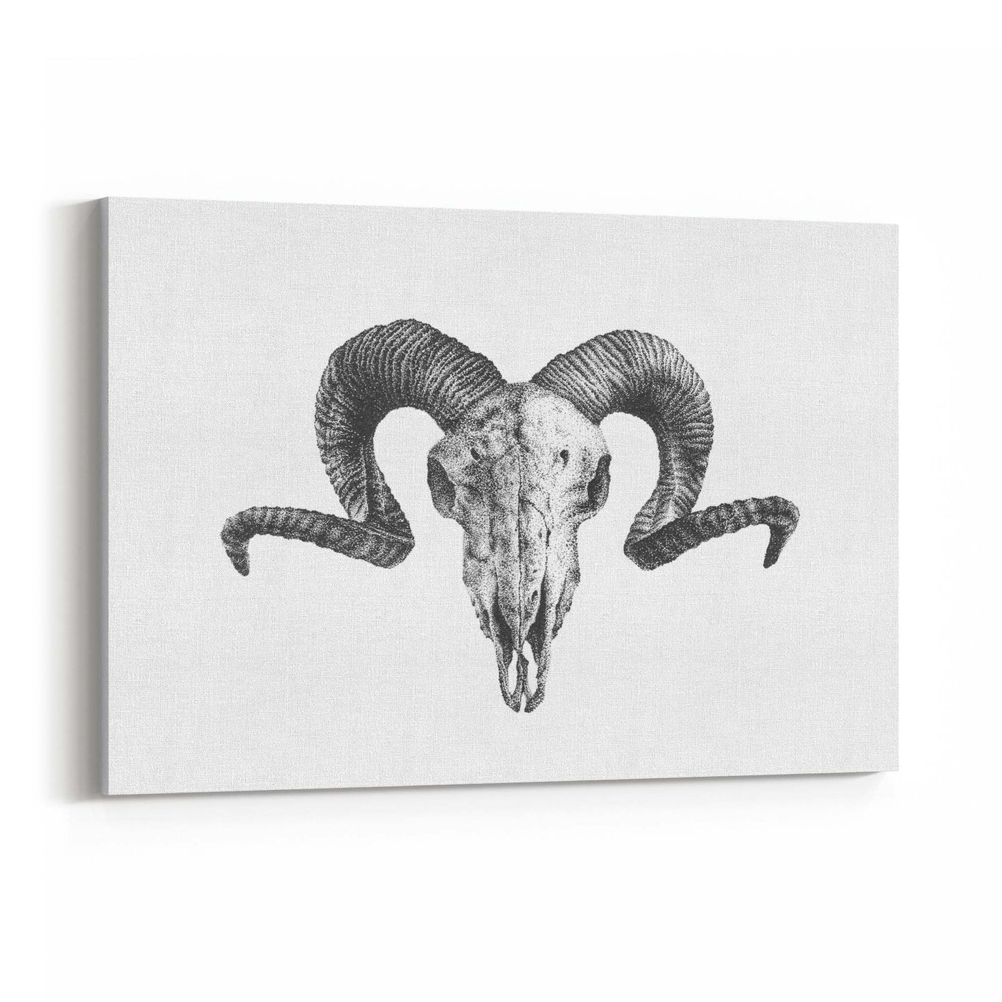 Ram Skull Drawing Man Cave Animal Wall Art - The Affordable Art Company