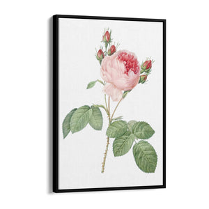 Flower Botanical Painting Kitchen Hallway Wall Art #36 - The Affordable Art Company