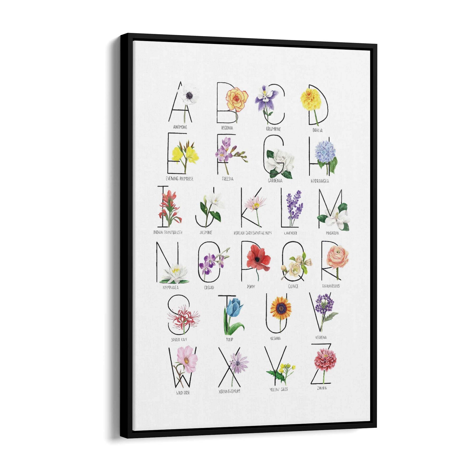 Flower Alphabet Kitchen Drawing Wall Art - The Affordable Art Company