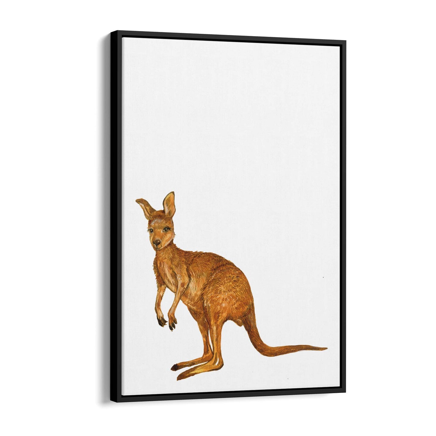 Australian Red Kangaroo Painting Animal Nursery Art - The Affordable Art Company