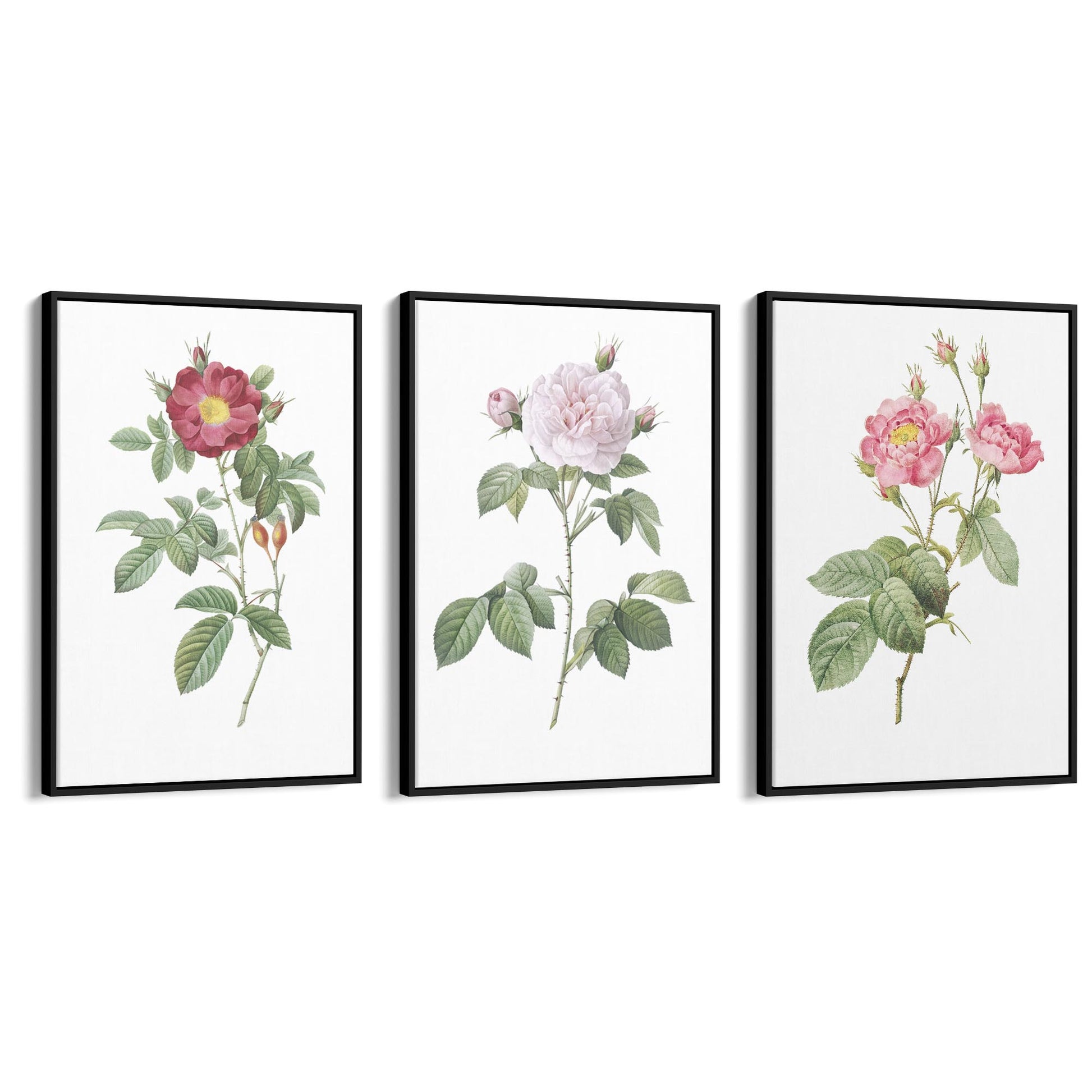 Set of Pink Floral Vintage Botanical Wall Art #3 - The Affordable Art Company