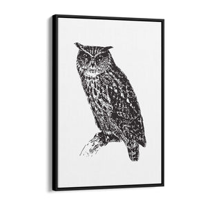 Owl Drawing Portrait Minimal Black Wall Art #2 - The Affordable Art Company