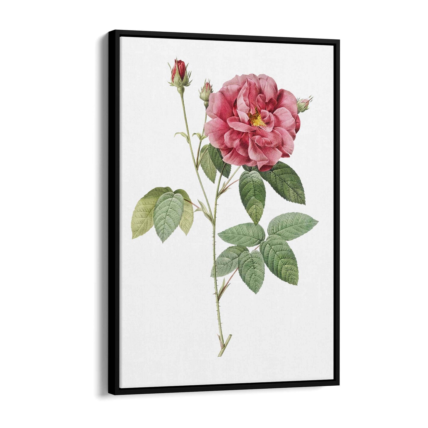 Flower Botanical Painting Kitchen Hallway Wall Art #17 - The Affordable Art Company