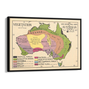 Australian Vegetation Vintage Map Wall Art - The Affordable Art Company