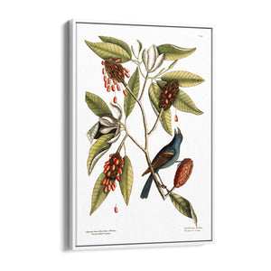 Sweet Bay Flower Botanical Kitchen Wall Art - The Affordable Art Company