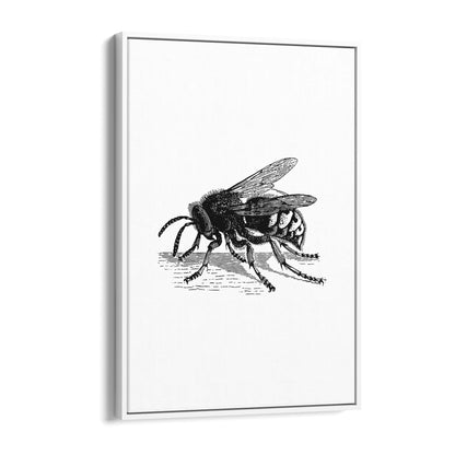 Hornet Drawing Insect Wall Art - The Affordable Art Company