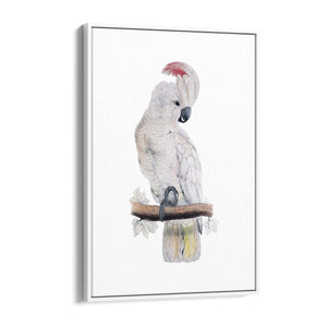Salmon Crested Cockatoo Exotic Bird Wall Art - The Affordable Art Company