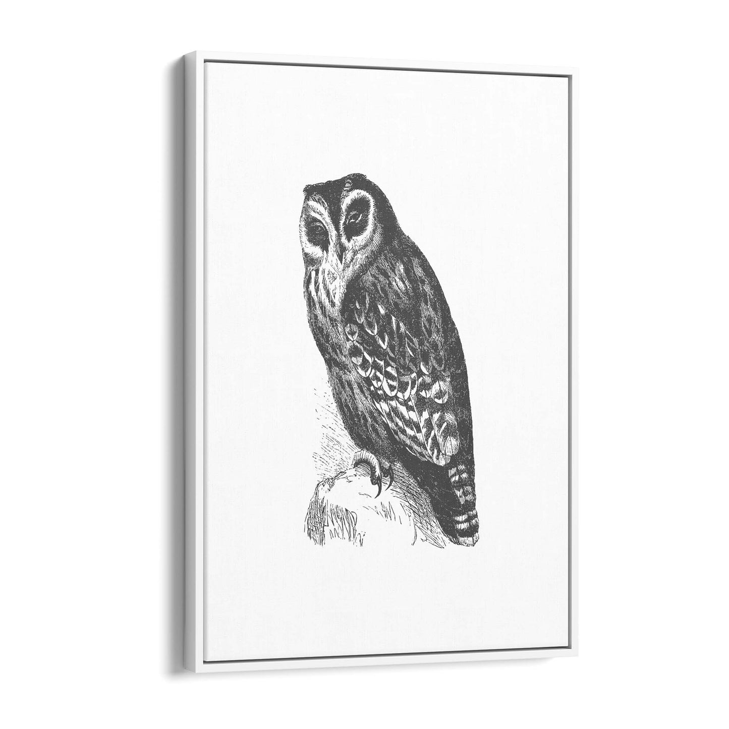 Owl Drawing Portrait Minimal Black Wall Art #4 - The Affordable Art Company