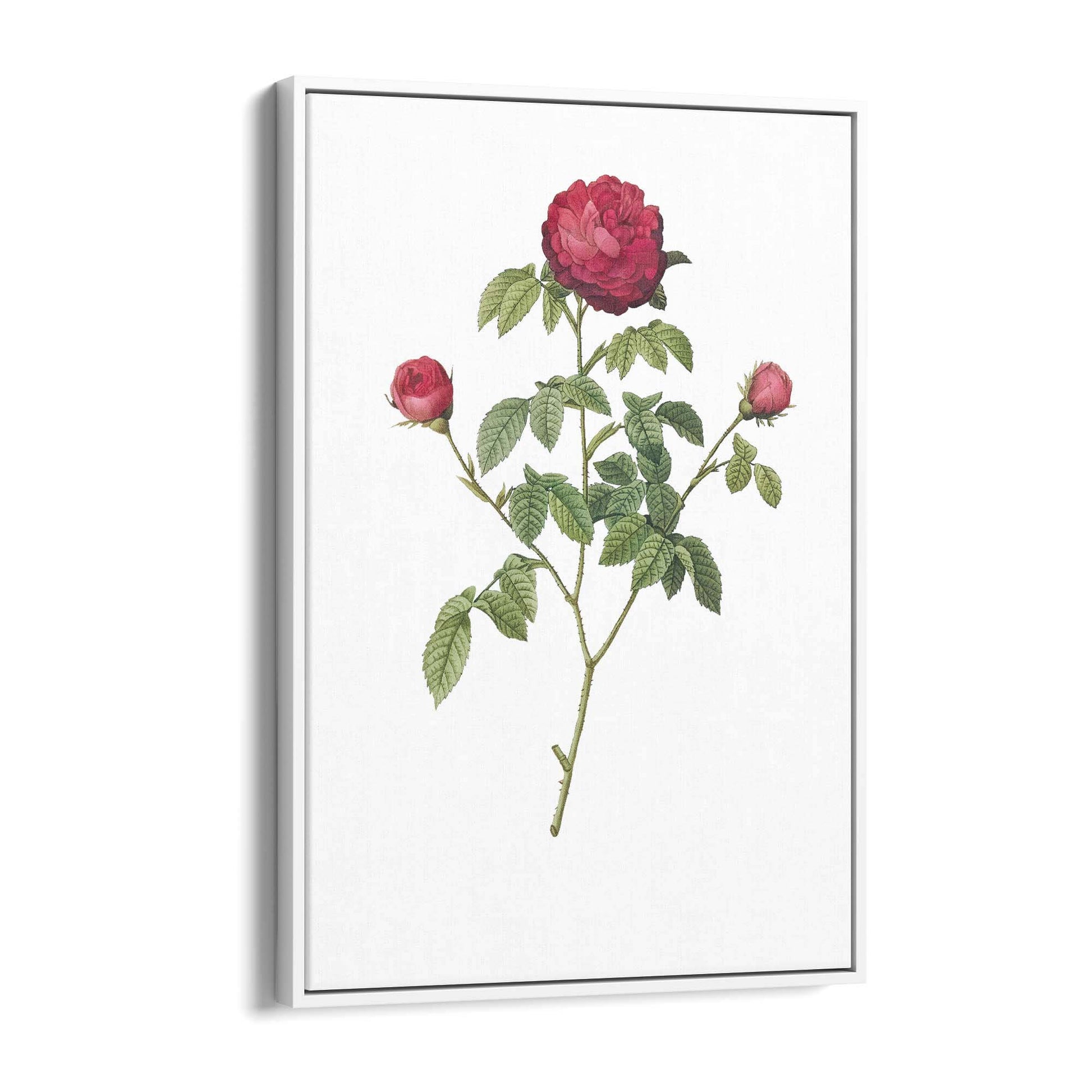 Flower Botanical Painting Kitchen Hallway Wall Art #3 - The Affordable Art Company