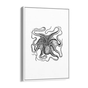 Octopus Drawing Minimal Sealife Wall Art #1 - The Affordable Art Company