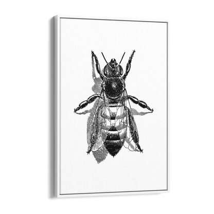 Worker Bee Drawing Insect Honey Wall Art - The Affordable Art Company