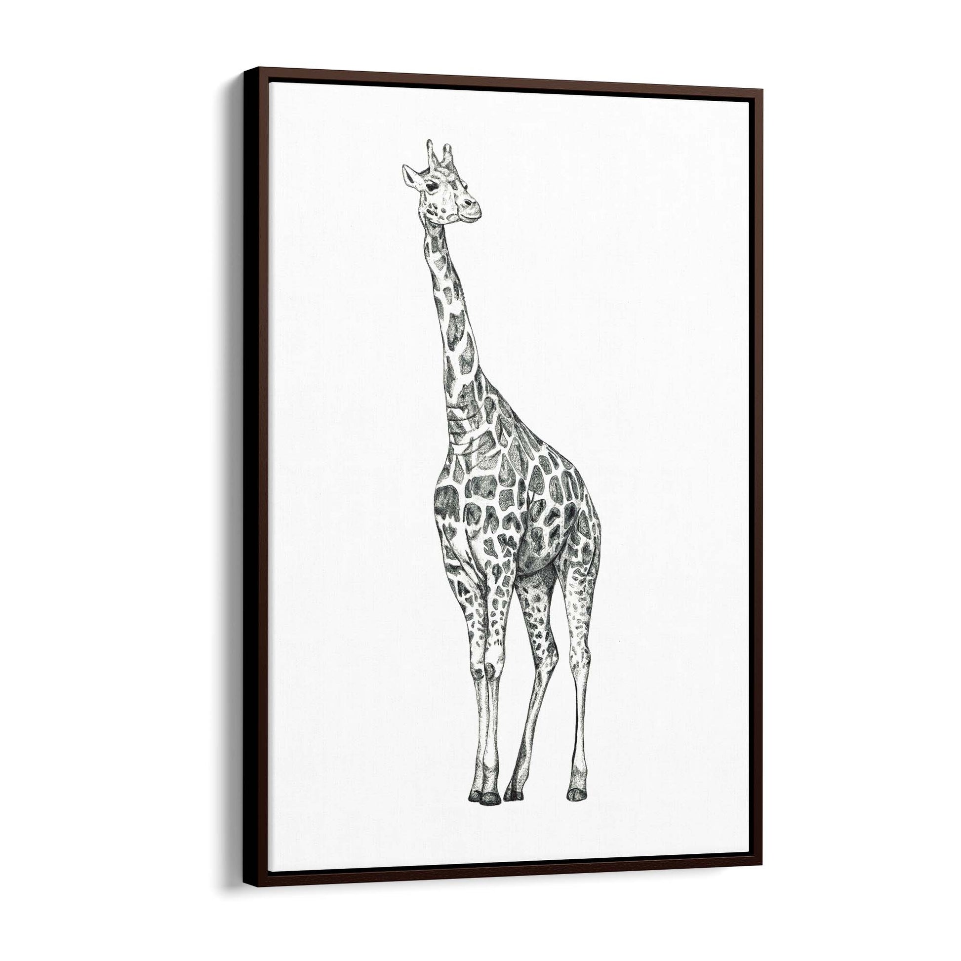 Detailed Giraffe Drawing Safari Animal Wall Art #1 - The Affordable Art Company