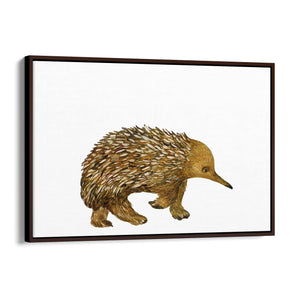 Australian Echidna Painting Animal Nursery Wall Art - The Affordable Art Company