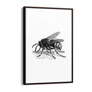 Hornet Drawing Insect Wall Art - The Affordable Art Company