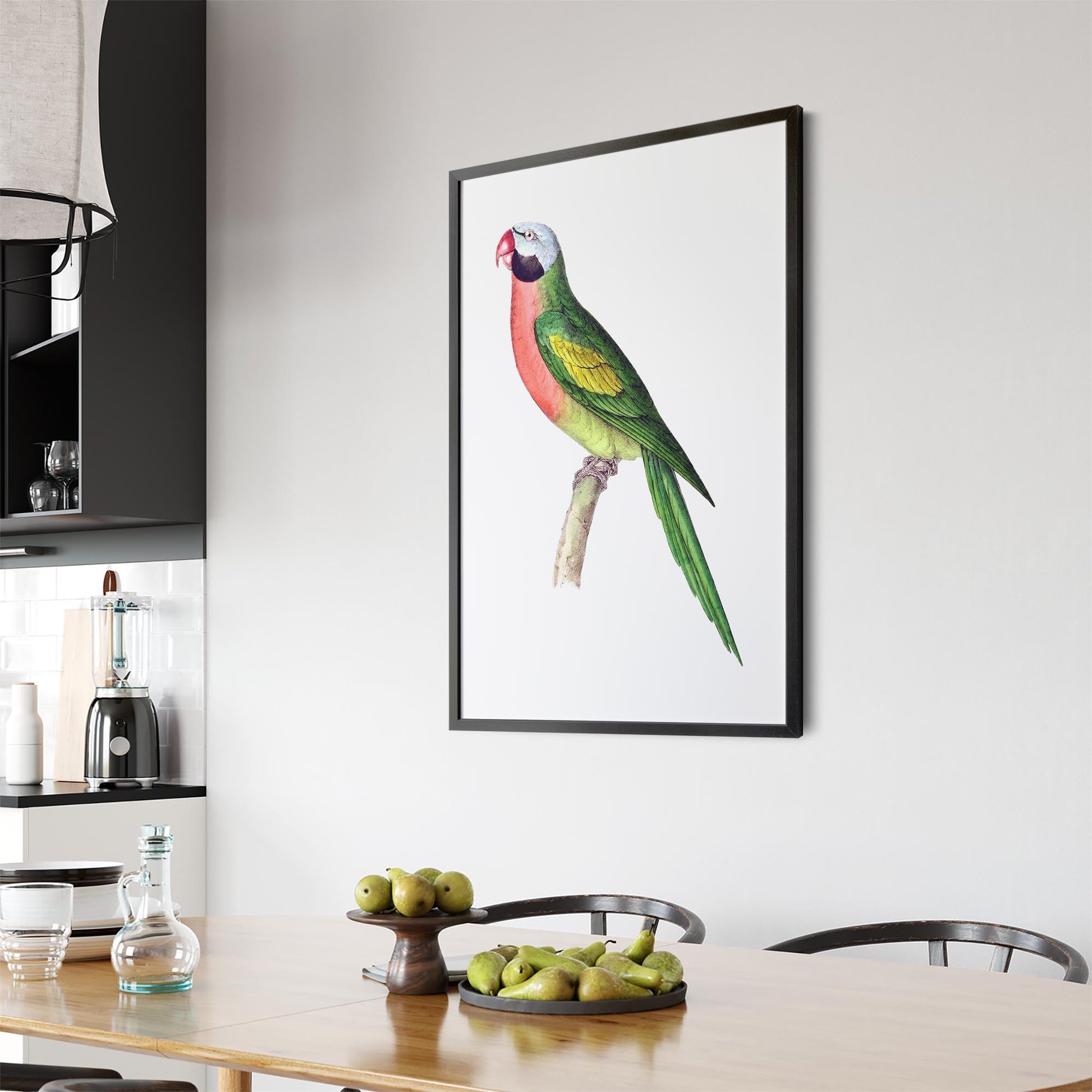 Moustached Parakeet Exotic Bird Drawing Wall Art - The Affordable Art Company