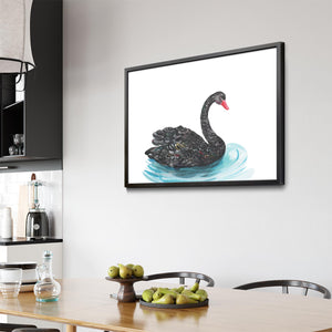 Black Swan Australian Animal Nursery Wall Art - The Affordable Art Company