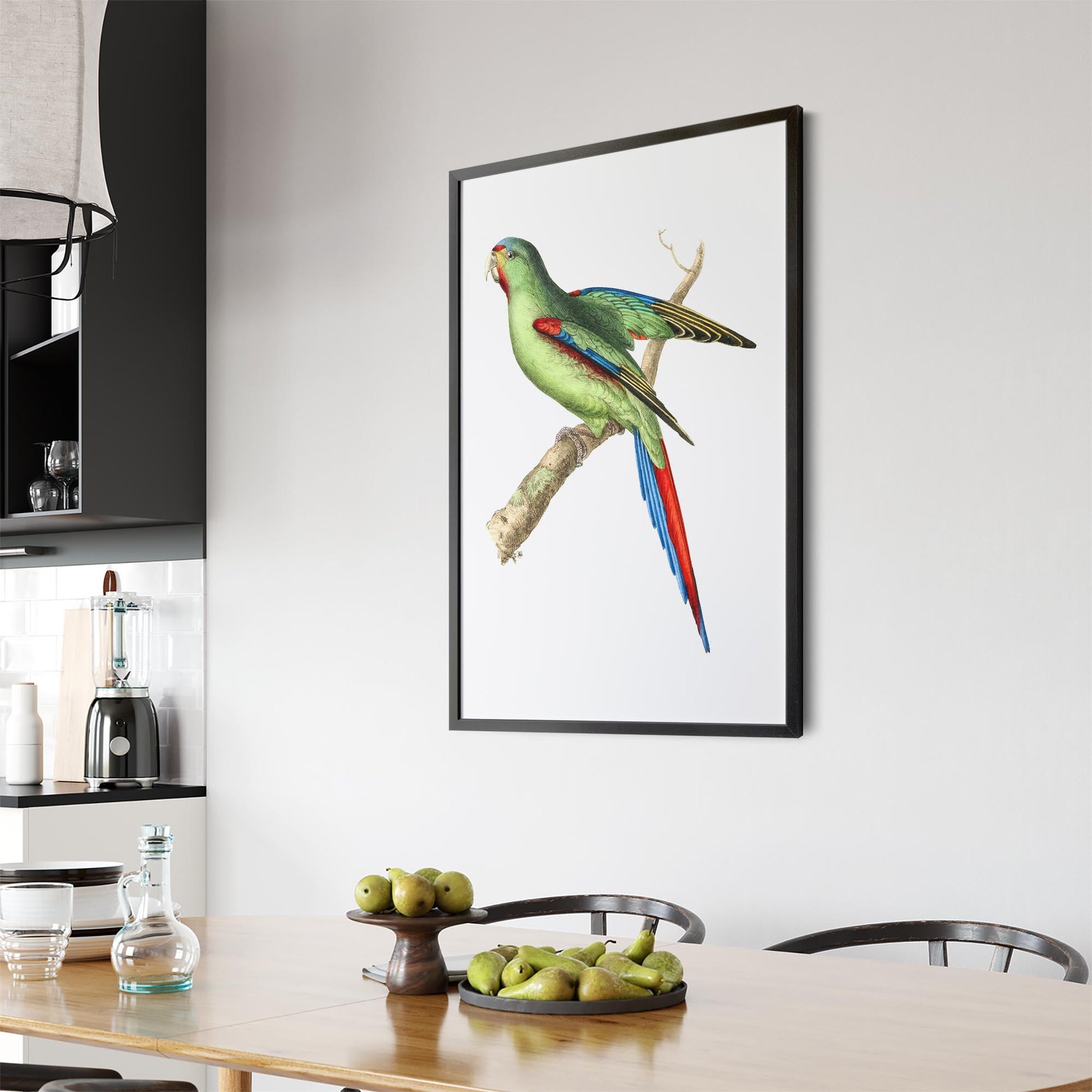 Red-Shouldered Parakeet Exotic Bird Wall Art - The Affordable Art Company