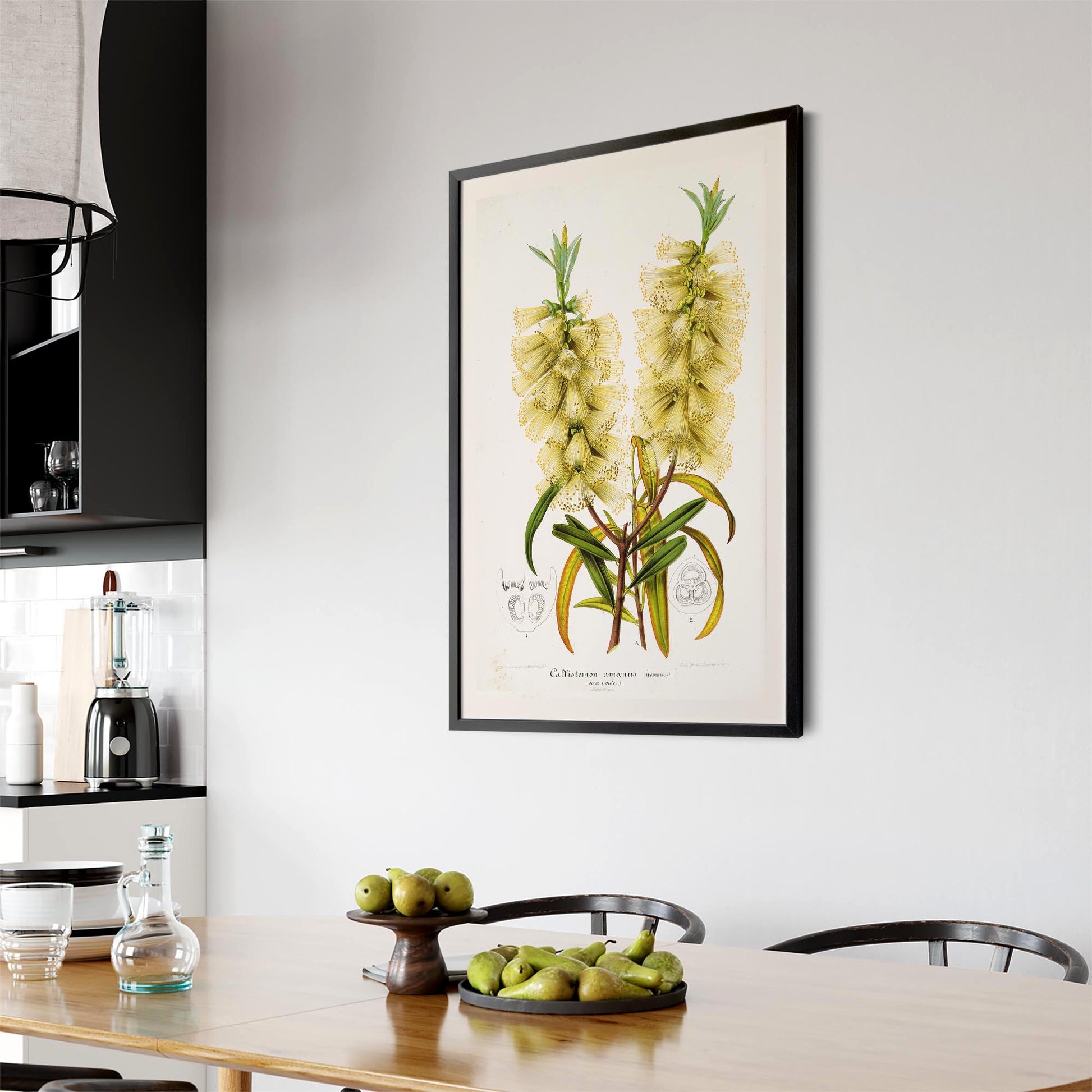 Yellow Flower Vintage Botanical Kitchen Wall Art #4 - The Affordable Art Company
