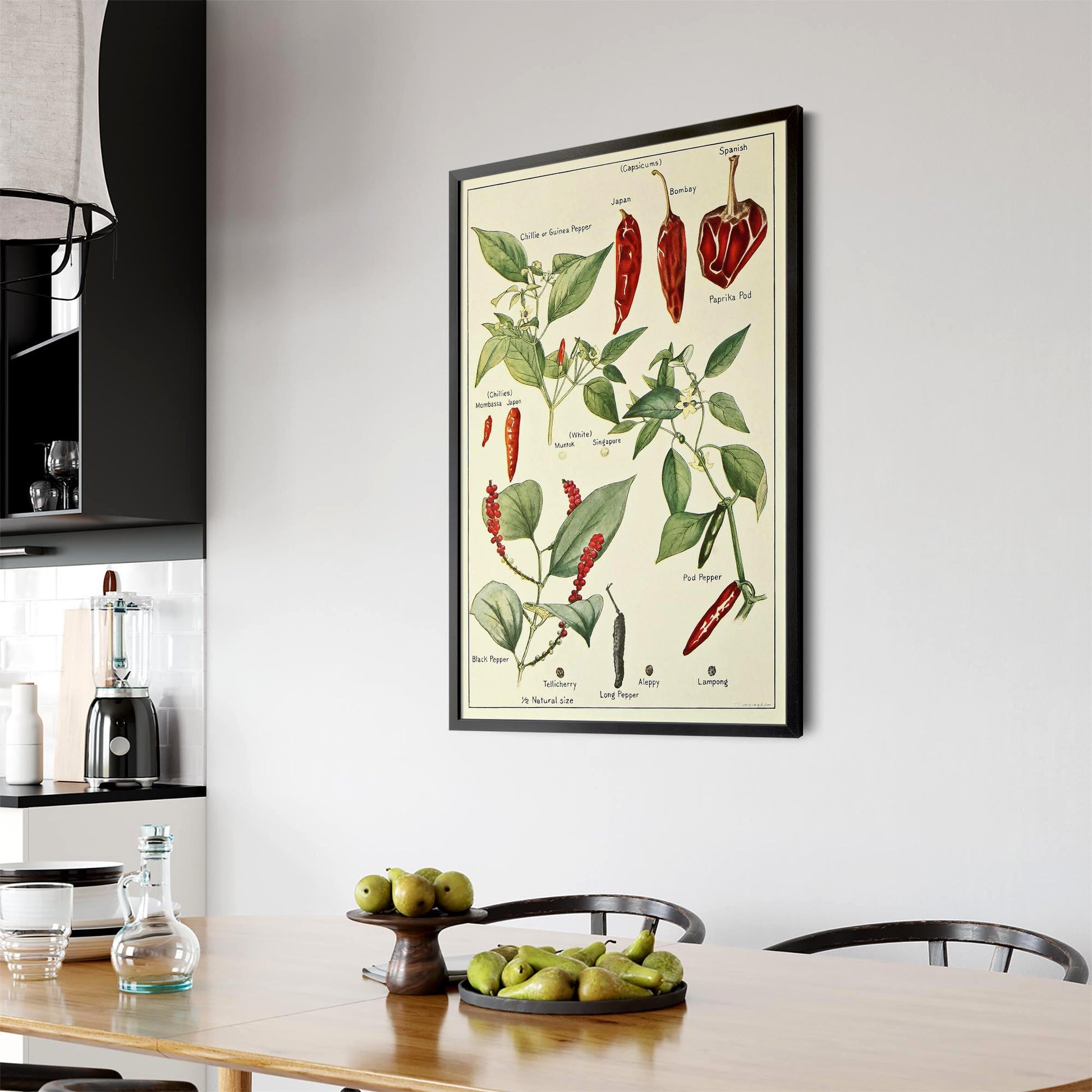 Chilli Botanical Drawing Kitchen Food Wall Art - The Affordable Art Company